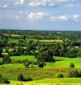 Picture of green fields of East Cheshire